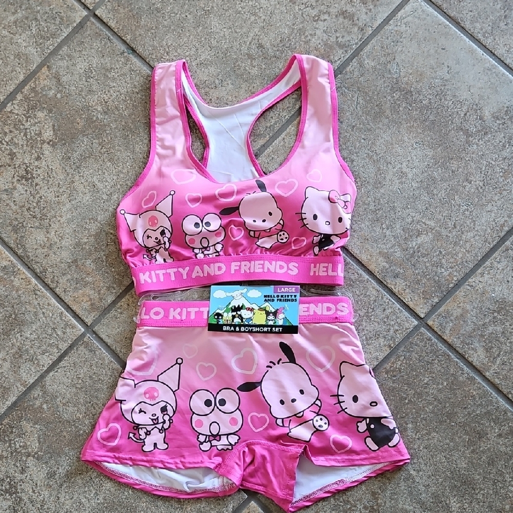 Hello Kitty And Friens Bra And Boyshort Set Size L
